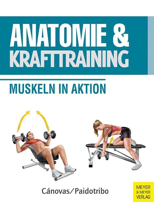 Anatomie & Krafttraining: Muskeln in Aktion (Anatomie & Sport)