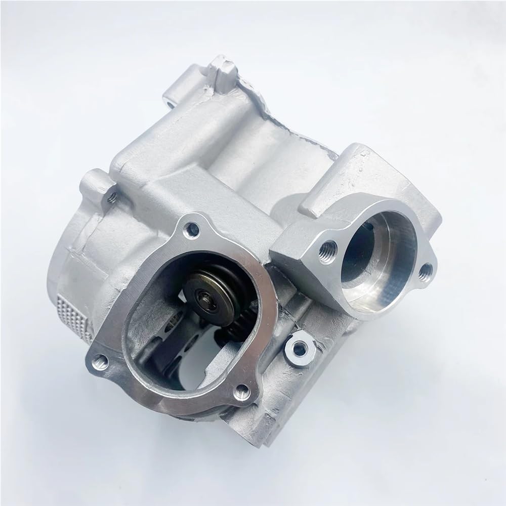 Cylinder Head Assy For LH 260CC 300CC LH260 LH300 ATV UTV 22401A