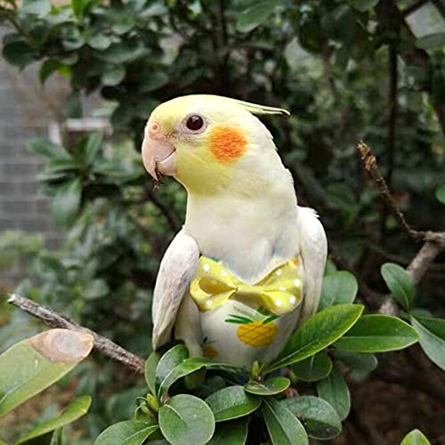Huisdier Bird Parrot Luier Flight Suit Kleding voor Conure Parakeet Cockatiels Duiven Kleine Medium Huisdiervogels… - Afbeelding 7