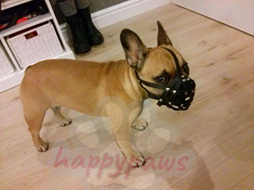 L&J Pets Uk Maulkorb für Französische Bulldogge, leichtes Leder (FB2, Schwarz)