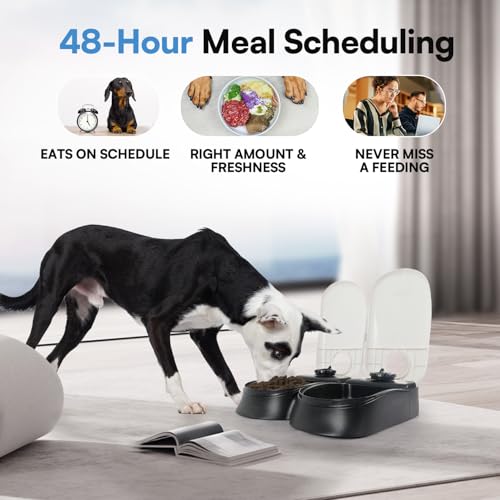 PAWISE Automatic Pet Feeder 300 ml Automatischer Futterspender für 48-Stunden-Planung für 2 Mahlzeiten Zeitgesteuerter Futternapf für Hunde und Katzen