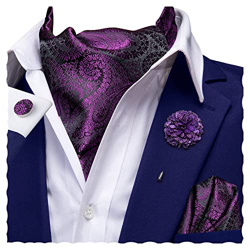 Image of Hi-Tie Ascot Lapel Pin Set Mens Cravat Ties for men Wedding Scarf Tie Party Business Formal Tuxedo,Plum Purple Paisley