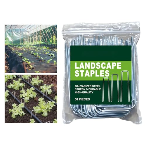 Piquet galvanisé de jardin et support de treillis robuste pour clôture - 2