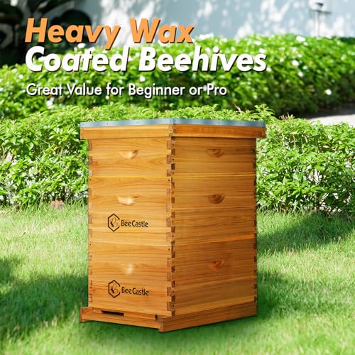 BeeCastle 10 Frame Langstroth Bee Hive Coated with Beeswax Includes Beehive Frames and Waxed Foundations (2 Deep Boxes & 1 Medium Box)