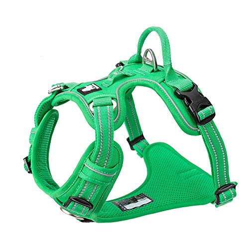 TRUE LOVE Harnais pour Chien No Pull Nylon Souple Réfléchissant Réglable pour Petit Grand Animal Domestique TLH56512(L, Vert Herbe)