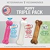 Puppy Chew Toy and Treat Starter Pack