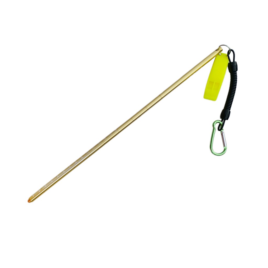 D DOLITY 34cm Aluminium Riffstab Unterwasser Tauchen Zeigestab mit Spiralkabel - Gold