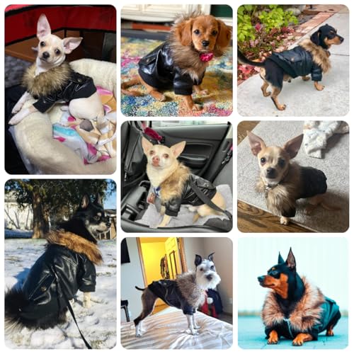 PETLESO Hundebekleidung Winter Hundemantel Warm Fleece Hundejacke Aufknöpfen Leder Winterjacke für Kleine und Mittelgroße Hunde - M