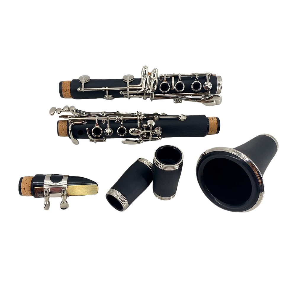 Clarinete para principiantes, clarinete profesional de ebonita con 2 barriles, kit de limpieza de estuche rígido, guantes de grasa de corcho y boquilla (llave BB)