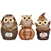 Valery Madelyn Fall Decorations Owl Table Decor, Thanksgiving Decorations with Pumpkin, Set of 3 Resin Figurines for Outdoor Home Yard Decor, 4.3 Inch Tall