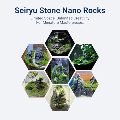 Image of Aquariums Stones Fish Tank Rock 3Lb seiryu Rock for Aquascaping,Aquariums,Terrariums,Vivariums,Decorative Stone,Reptile Enclosures,Paludariums,and Gardens-(2-5 Inch)