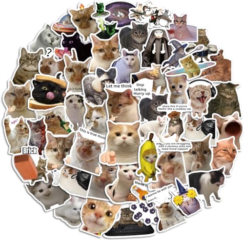 56 Lustige Katzen-Meme-Aufkleber – Wasserdichte glänzende Vinyl-Sticker, 4–5 cm, Realistische Katzenfotos mit Sprüchen & Requisiten, für Trinkflaschen, Laptops, Handys, Tagebücher