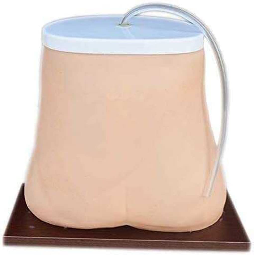 Modèle D'Enseignement, Modèle De Dialyse Péritonéale Humaine, Modèle D'Enseignement Médical, Modèle D'Anatomie De Formation Sur Simulateur De Dialyse Péritonéale, Fourniture Abdominale De Mannequin P