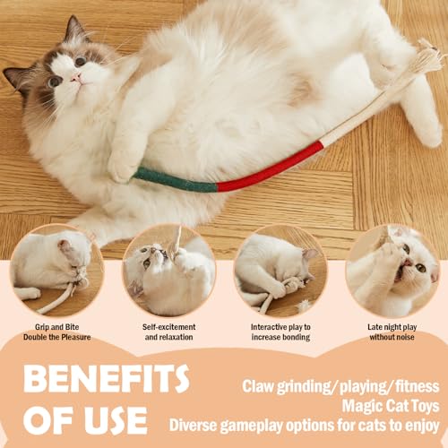 kaiyaya 3 Stück Katzenminze Beißseil Spielzeug,Cat Toyskatzenbeißseil Kauspielzeug Cat Toys Katze Mit Katzenspielzeug Interaktives Ür für Katzen Zahnpflege und Gegen Mundgeruch(Rot,Lila,Orange)