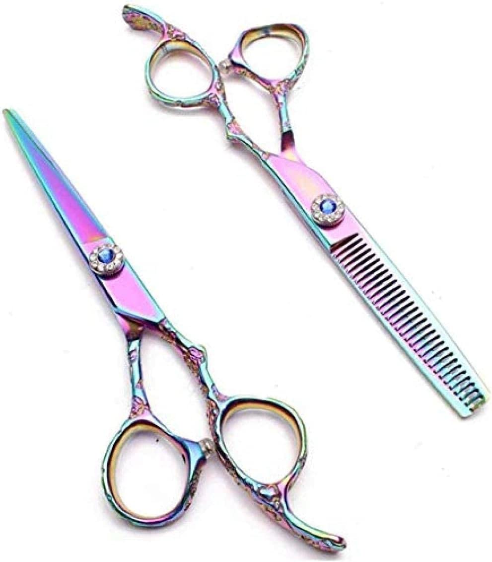 Ciseaux de Coiffure, Ciseaux à effiler de 15 cm (6 Pouces), kit de Coiffure Professionnel, Manche Prune, pour Salon de Coiffure.