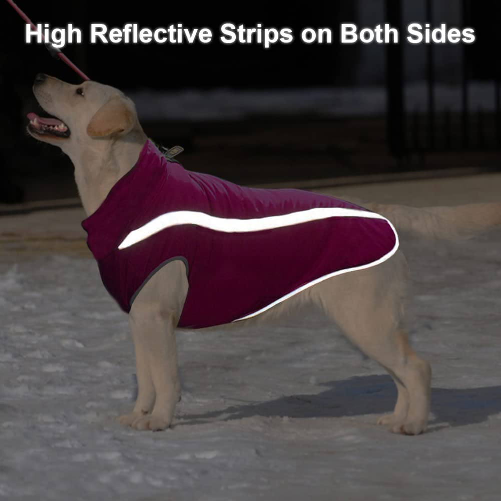FEimaX Abrigo para Perros de Invierno Chaqueta Impermeable Ropa a Prueba de Viento con Forro Polar y Orificio para Arnés, Chaleco Cálido Duradero para Perro Pequeños Medianos Grandes y Mascotas