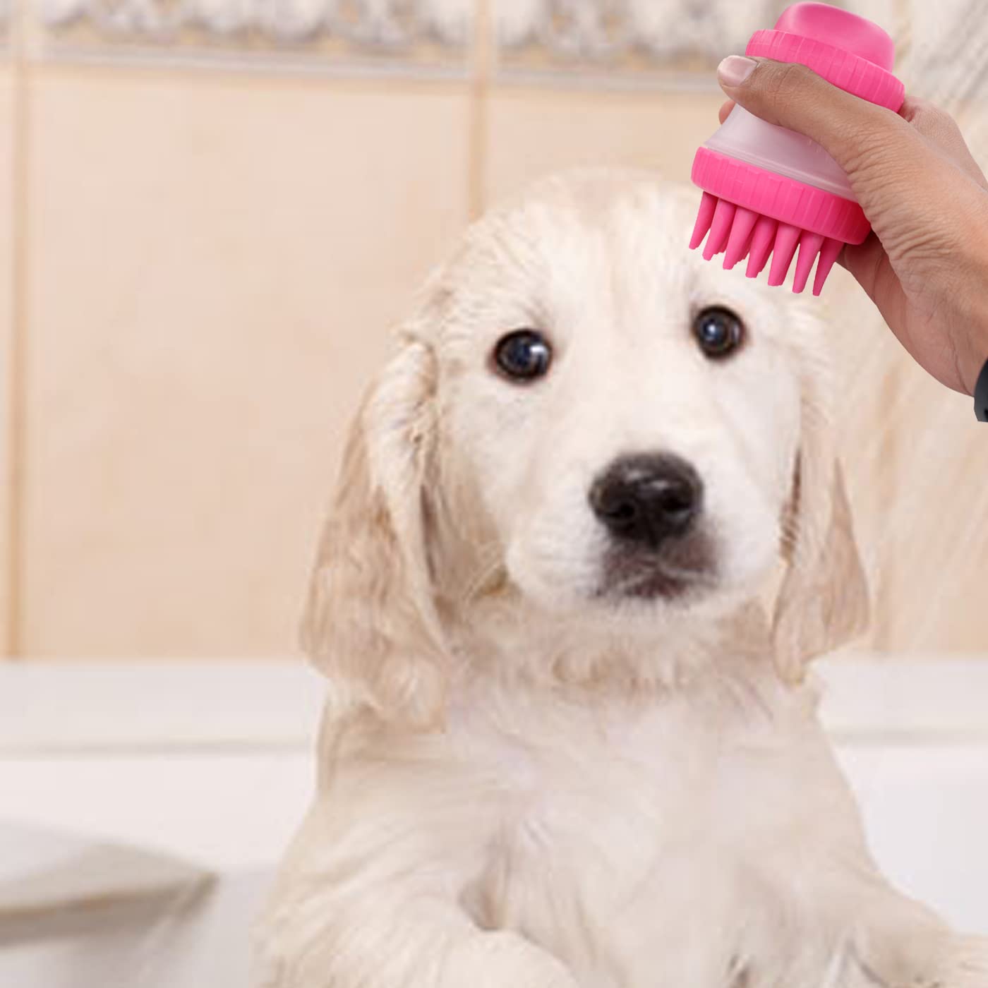 Prime Pet Grooming Brush Soft Bristles Dog Bath Shower Comb Pack Of 1 (B0BHJB452L) Amazon Price History, Amazon Price Tracker