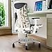 CHAIRORAMA Certified Refurbished Embody Gray Chair, Pixelated Support, Backfit Adjustment, Advanced Ergonomic Office Chair for Healthy Movement, Balanced Posture, 12-Year Warranty