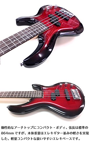Amazon | Aria Pro II アリア プロ IGB-STD MBS エレキ ベース