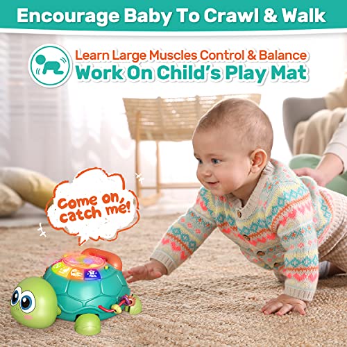 CUTE-STONE-Baby-Toys-6-to-12-Months-Musical-Turtle-Crawling-Baby-Toys-for-12-18-Months-Early-Learning-Educational-Toy-with-Light-SoundToy-for-Infant-Toddler-Boy-Girl-7-8-9-10-11-12-Month CUTE-STONE-Baby-Toys-6-to-12-Months-Musical-Turtle-Crawling-Baby-Toys-for-12-18-Months-Early-Learning-Educational-Toy-with-Light-SoundToy-for-Infant-Toddler-Boy-Girl-7-8-9-10-11-12-Month