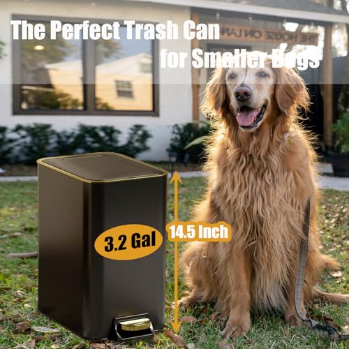 Image of Dog Poop Trash Can Outside Stainless Steel - Metal Pooper Scooper Set - 12L Dog Waste Trash Can Outdoor with Pedal - Backyard, Yard - Removable Inner Bin, Long Handle Tray and Rake - Black and Gold