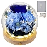 母の日 プリザーブドフラワー バラ プレゼント ブリザードフラワー ぶりざーどフラワ ギフト 結婚記念日 プレゼント 妻 記念日 プレゼント 彼女 誕生日 プレゼント 白い日のプレゼント人気 入学 卒業 ギフト お見舞い (青いバラ (LED))