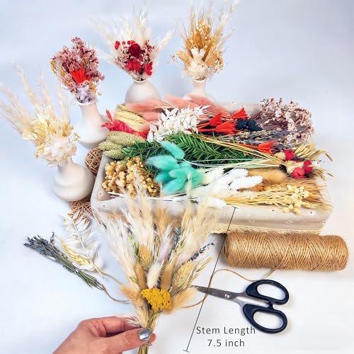 Kit natural de flores secas para manualidades y decoración miniatura 2