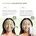 PLANTIFIQUE Korean Skincare Clay Mask – Hydrating Mud Mask with Avocado & Superfoods, Dermatologist-Tested for Face & Body – Vegan, 3.4 Oz/100ml