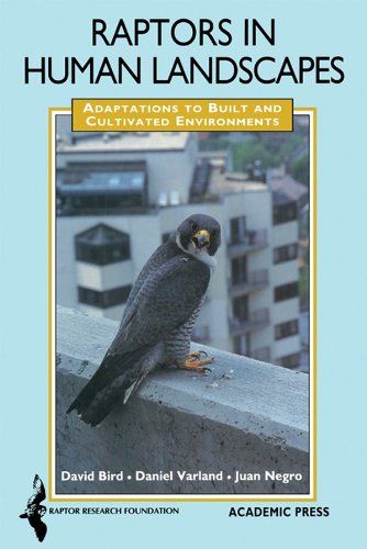 Raptors in Human Landscapes: Adaptation to Built and Cultivated Environments