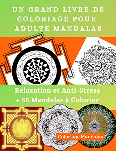 Télécharger UN GRAND LIVRE DE COLORIAGE POUR ADULTE MANDALAS: Relaxation et Anti-Stress + 55 Mandalas à Colorie livre En ligne