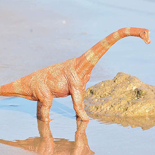 Image of Realistic T Rex Dinosaur Animal Figure for Kids Real Textured Dinosaurs Toy (Brachiosaurus (14F))