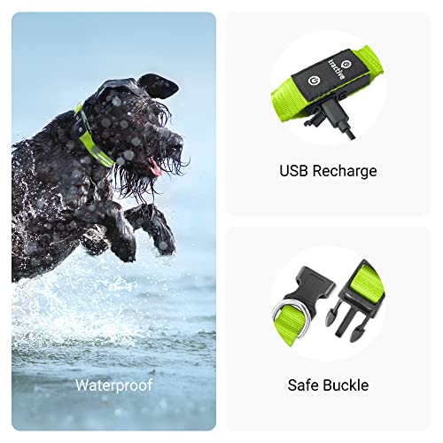 Tractive Gps Pet Tracker With Led Light Up Dog Collar - Waterproof, Gps Location & Smart Activity Tracker, Unlimited Range (Green, Large) #TOP6