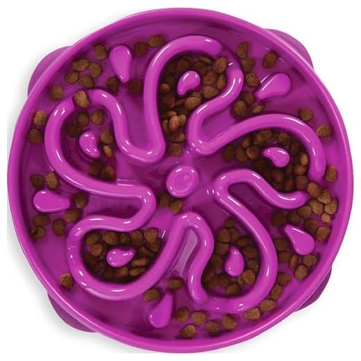 Outward Hound Fun Feeder Slo Bowl, Slow Feeder Dog Bowl, Large/Regular, Purple