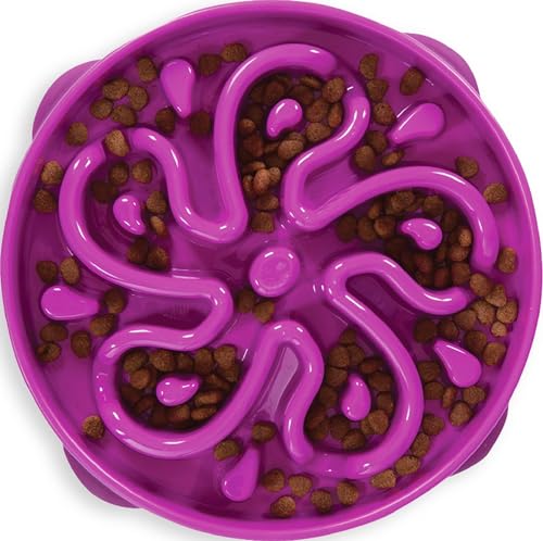 Outward Hound Fun Feeder Slo Bowl &ndash; Large 4‑Cup Capacity, Slow Feeding, Medium to Large Dogs...