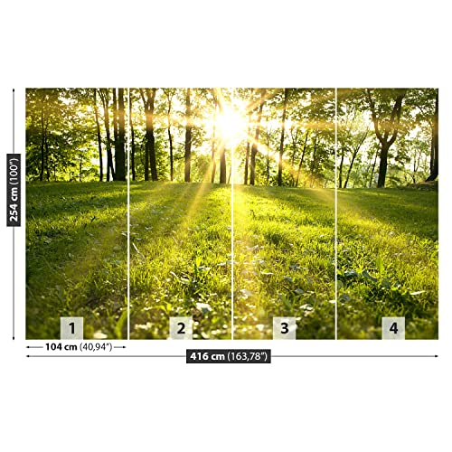 Papier peint forêt solaire pour masquer les défauts d'un mur abîmé - 7