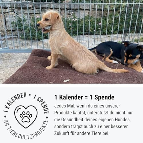 Tales & Tails Adventskalender für Hunde 24 Türchen - perfekt für eure Bindung in der Vorweihnachtszeit - Leckerli, softes Trockenfutter, funktionale Snacks