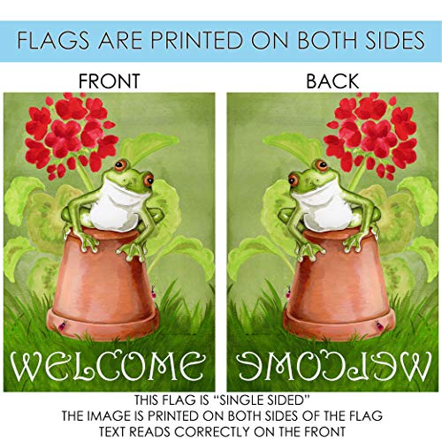 Toland Home Garden 109122 Potted Frog Frog Flag 28X40 Inch Double Sided Frog Garden Flag For Outdoor House Flower Flag Yard Decoration #TOP4