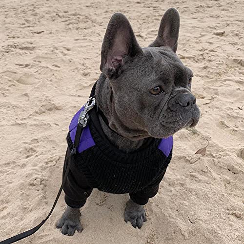 Image of Gooby Fashion Vest Dog Jacket, Violet, Small | Quilted bomber, water-resistant; Stretch knit bottom; Dual D-ring leash; Pain-free zipper guard; Warm