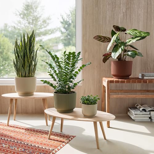 Artevasi Blumentopf Miami Wavy 20cm Creme – eleganter Übertopf mit Wellenstruktur, mattem Finish – ideal als Pflanzkübel für Moderne Räume Artevasi Blumentopf Miami Wavy 20cm Creme – eleganter Übertopf mit Wellenstruktur, mattem Finish – ideal als Pflanzkübel für Moderne Räume