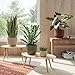 Artevasi Blumentopf Miami Wavy 20cm Creme – eleganter Übertopf mit Wellenstruktur, mattem Finish – ideal als Pflanzkübel für Moderne Räume