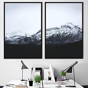 signwin 2 Piece Framed Canvas Wall Art Monochromatic...