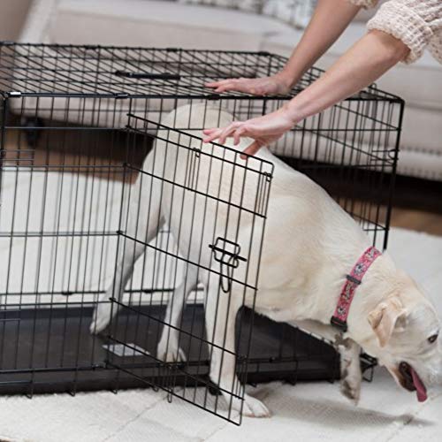 Petmate Precision Pet Provalu Wire Dog Crate #TOP3