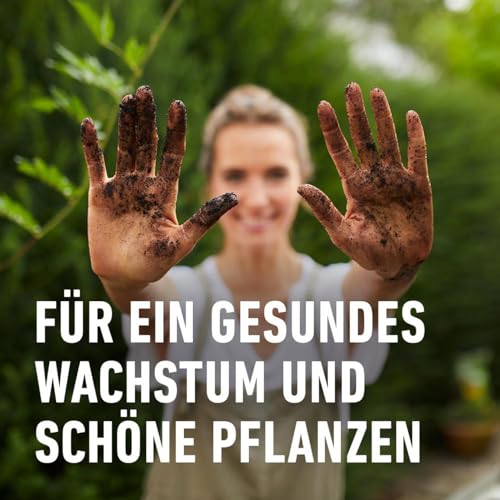 COMPO Bio Anzucht- und Kräutererde 20 L, torffrei, 5 Wochen Nährstoffe – Ansicht 5