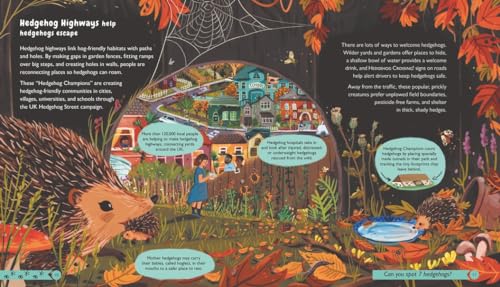 Wildlife Crossings: Protecting Animal Pathways Around the World - Image 3