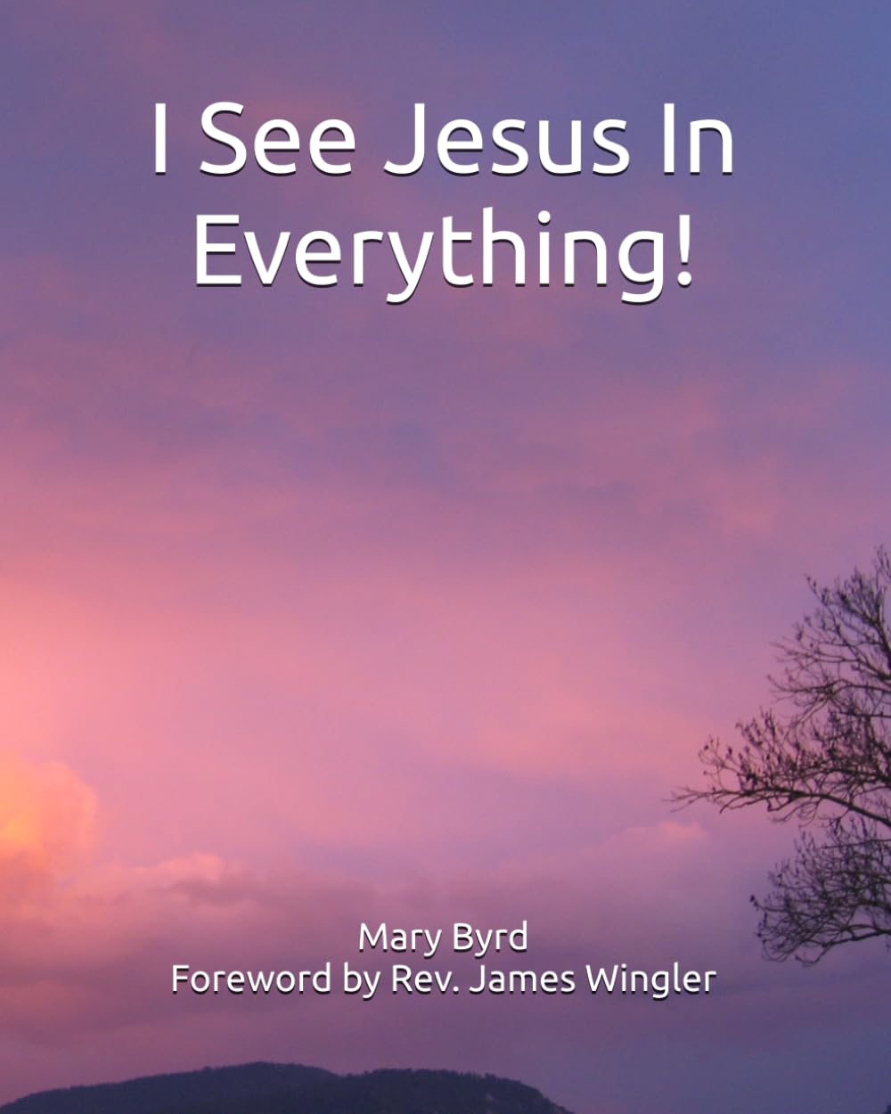 I See Jesus In Everything!