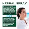 Lung Cleansing Spray,Herbal Lung Cleansing Spray,Herbal Lung Cleanse Mistm, (1PCS)