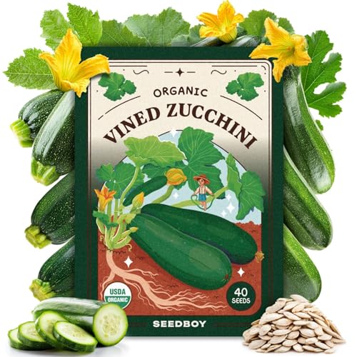 Seedboy Organic Zucchini Seeds for Planting Indoor and Outdoor, Non-GMO and USDA Certified Vegetable Seed Packet for Hydroponic Garden Indoor or Planting Outdoors (Black Beauty Zucchini)