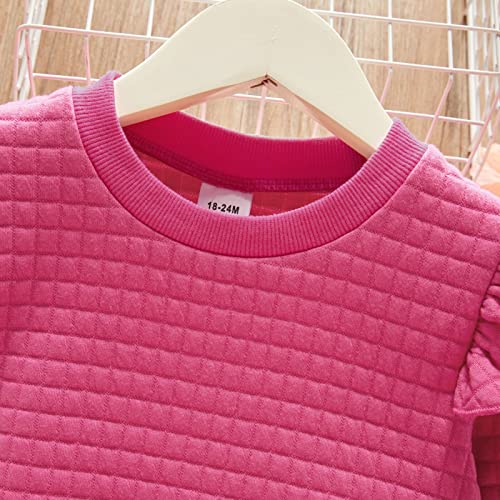 Patpat Toddler Girl Sweatshirts Pullover Crewneck Shirts Long Sleeve Ruffle Tops 3-4 Years #TOP7