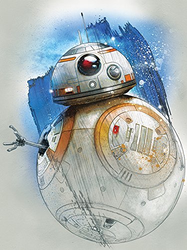 Toile Star Wars WDC100190 multicolore de 60 x 80 cm, idée cadeau originale