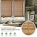 LazBlinds No Tools No Drill Cordless Bamboo Roman Shades, Light Filtering Window Treatment, Roll Up Bamboo Blinds for Window 43'' W x 64'' H, Squirrel